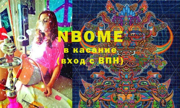 шишки Арсеньев