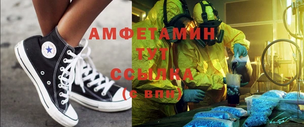шишки Арсеньев