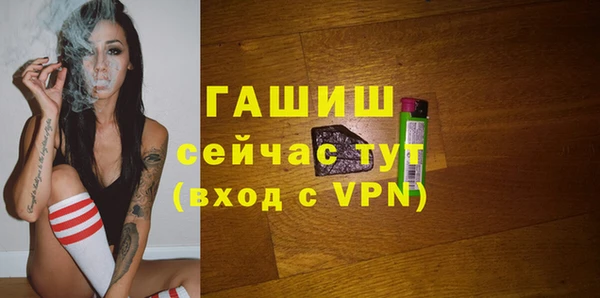 шишки Арсеньев